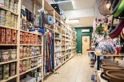 Sklep Zoologiczny Kizia Mizia